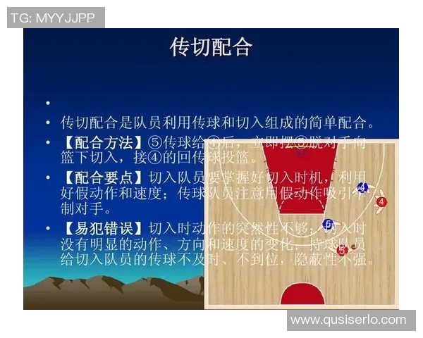篮球战术实力榜单权威发布解析各队战术优势与短板