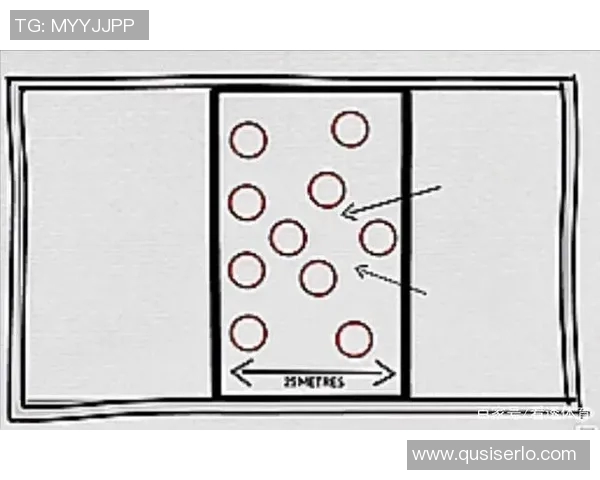 南京排球队区域防守策略解析与战术应用探讨 南京排球队区域防守策略解析与战术应用探讨