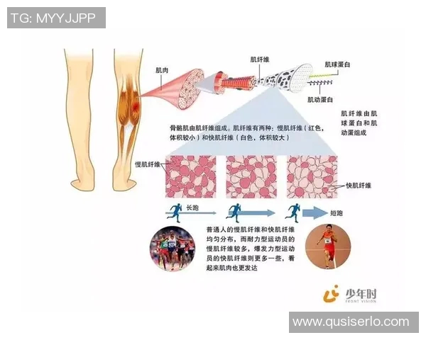 成都乒乓球队战术解析与实战应用的深度探讨与思考